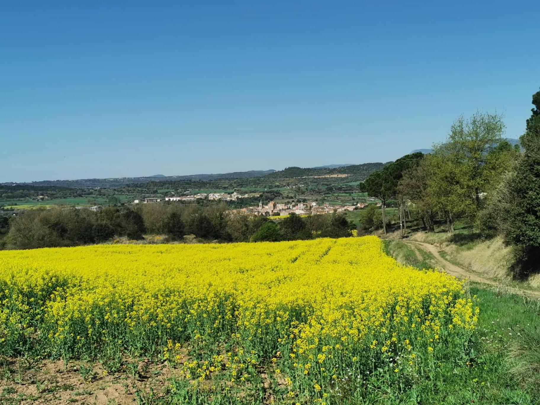Ca L'Herminia Gironella Bagian luar foto