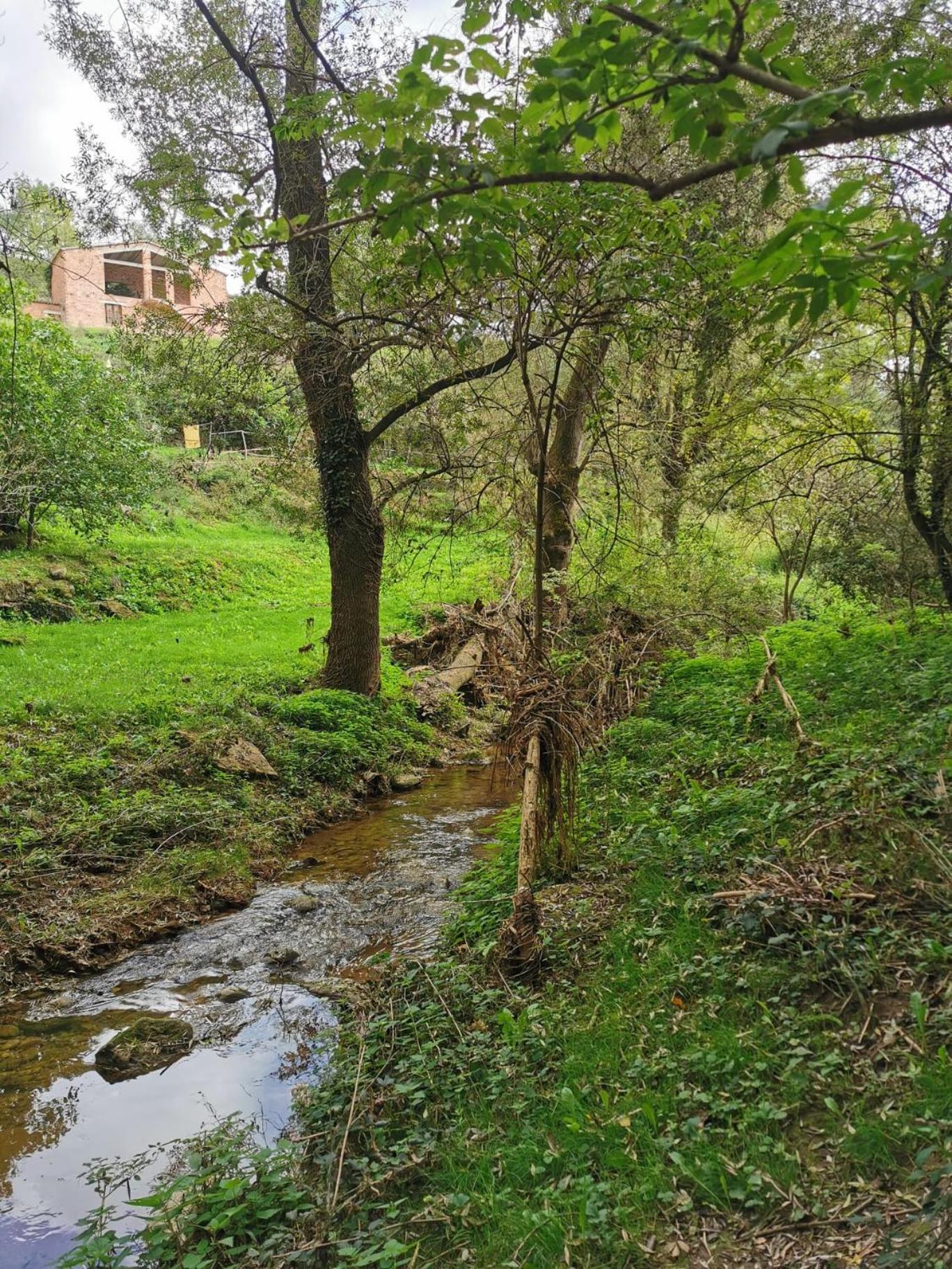 Ca L'Herminia Gironella Bagian luar foto
